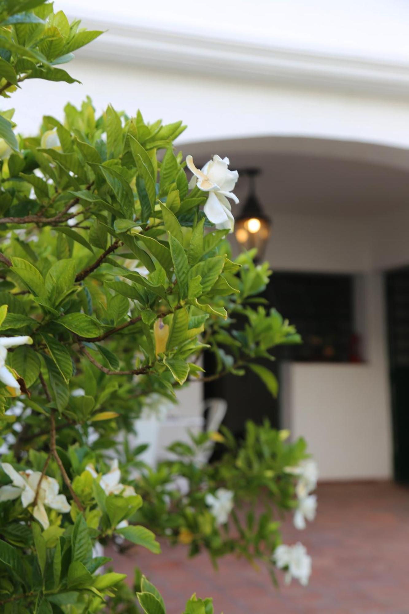 Lujosa Casa En Mendoza